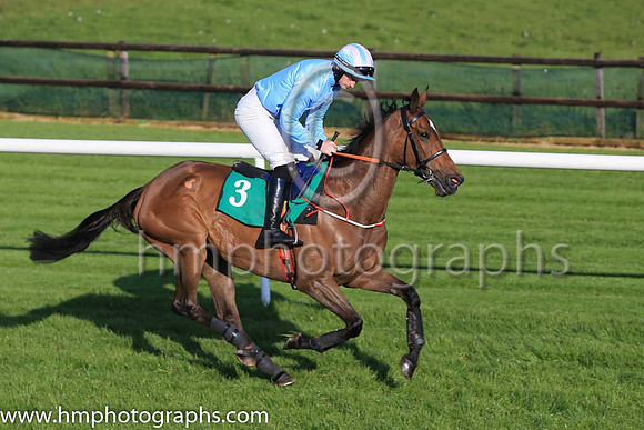 10th Balofilo and T N Brett 7 ( 3 , light blue ) Trainer - Ms M Mullins , Owner - Paul Byrne