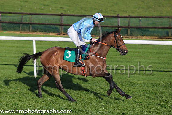10th Balofilo and T N Brett 7 ( 3 , light blue ) Trainer - Ms M Mullins , Owner - Paul Byrne