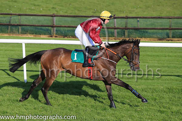 13th Mccrackens Gate and J M Moore ( 1 , brown, white spot ) Trainer - T Gibney , Owner - C E Falls