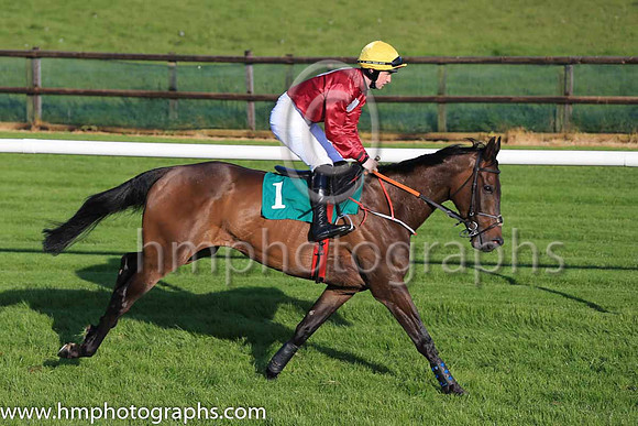 13th Mccrackens Gate and J M Moore ( 1 , brown, white spot ) Trainer - T Gibney , Owner - C E Falls