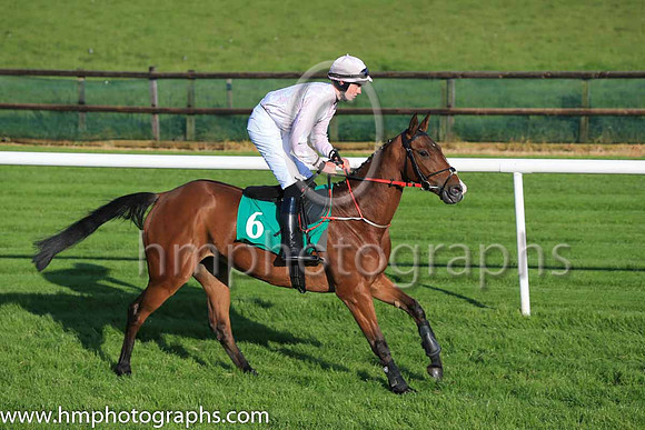 Ur Montys Angel and P J McGrath 7 ( 6 , pink and white diamonds ) Trainer - J C McConnell , Owner - Rockview Racing Club