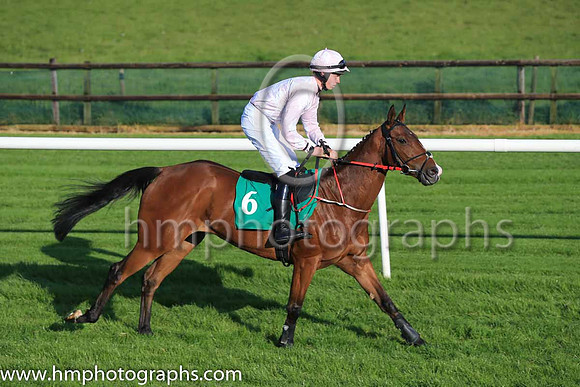 Ur Montys Angel and P J McGrath 7 ( 6 , pink and white diamonds ) Trainer - J C McConnell , Owner - Rockview Racing Club