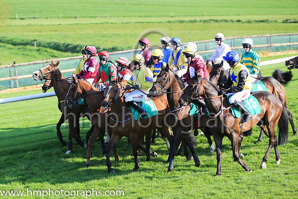 Waiting for the started at Downpatrick Racecourse