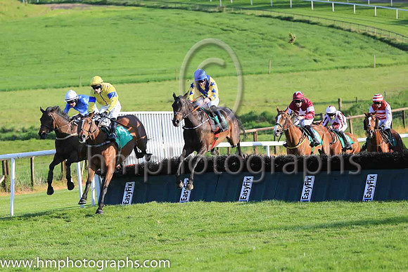 04th Thisonesforollie and J W Kennedy ( 13 , yellow, blue chevron ) Trainer - G Elliott , Owner - B Mannion  Brendan O?Grady