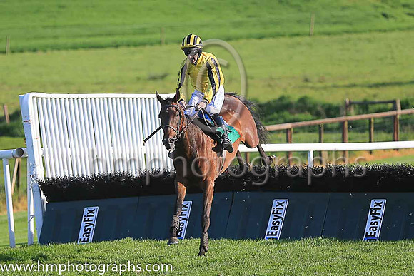 12th Yeats Baby and I J McCarthy ( 10 , yellow, light blue sash ) Trainer - Francis J Flood , Owner - Kildare Racing Club