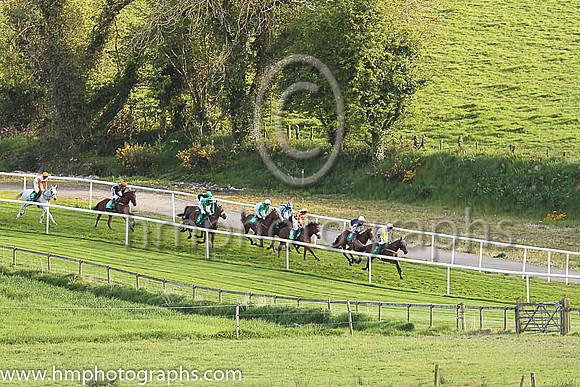 Racing at Downpatrick Racecourse