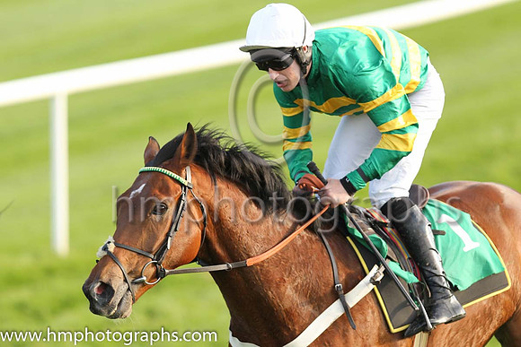 10th Beginningtogetup and J S McGarvey ( 1 , orange and green hooped ) Trainer - E P Harty , Owner - John P McManus