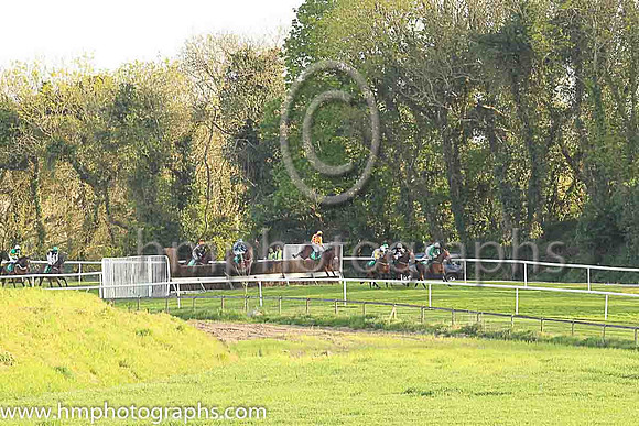 Racing at Downpatrick Racecourse