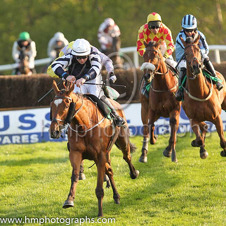 05th Festival Opera and L P Dempsey ( 3 , blue, blue and white sleeves ) Trainer - J P Dempsey , Owner - Brian Pierce