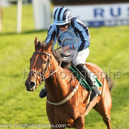 4th Theatre Run and A W Short 5 ( 13 , light blue, dark blue braces ) Trainer - M A Cahill , Owner - One Eight Seven Four Syndicate