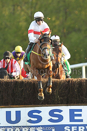 04th Tiger Sam and S W Flanagan ( 8 , white, red hoop ) Trainer - N Meade , Owner - Noel Meade