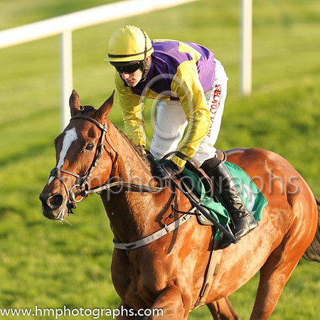 02nd He Knows My Name and A Ring 3 ( 2 , purple, three yellow diamonds ) Trainer - R K Watson , Owner - Mrs C Watson