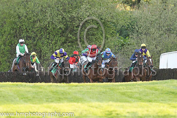 01st Dorkas and L P Dempsey ( 3 , navy blue, pink hoop ) Trainer - J R Finn , Owner - Ms Amanda Finn