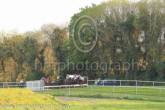 Racing at the top of the hill at Downpatrick Racecourse under the trees
