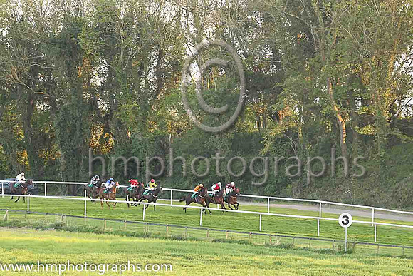 Three furlongs out at Downpatrick Racecourse