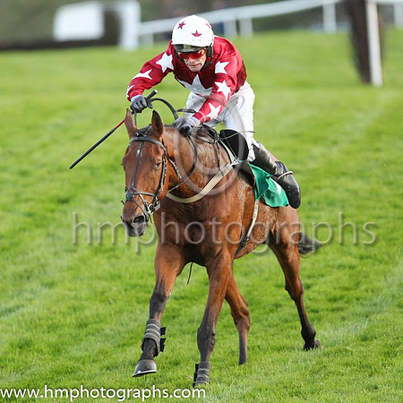 01st Macs Legend and Mr J W Hannon 7 ( 3 , maroon, white star ) Trainer - Gerard Kelleher , Owner - S Prendeville