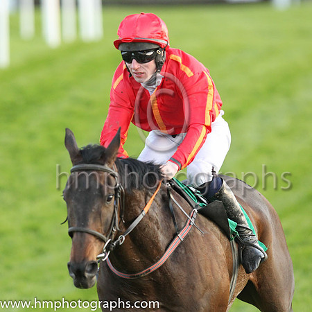 06th Ajijic and Mr M C '?Donovan 7 ( 6 , red, yellow seams ) Trainer - M Winters , Owner - G P Crosse