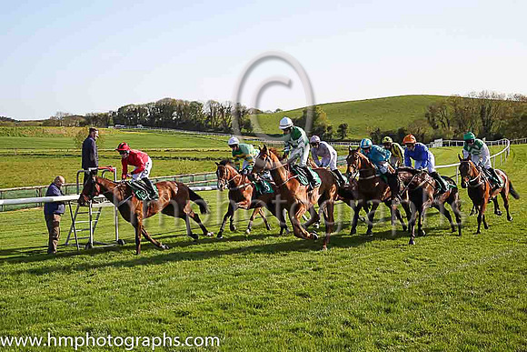 The start at Downpatrick Racecourse