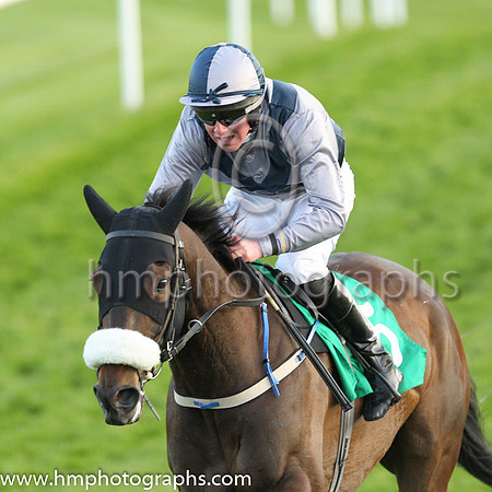 07th Abbazagga and Mr D L Queally 3 ( 5 , grey, blue cross sashes ) Trainer - D Queally , Owner - D Kiely