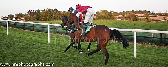 06th Tipp Toe and Mr M J O'Hare 5 ( 5 , maroon white star ) Trainer - N Meade , Owner - Gigginstown House Stud