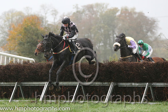 02 Mr Bolt and N McParlan - - 02nd (12 ,black and pink diamonds ) Trainer - Sean McParlan