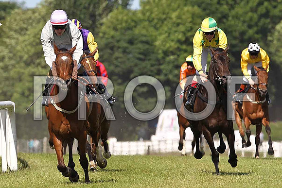 Luttrell Lady 2nd , Jockey F M Berry , Belle Noverre 3rd, Jockey M Harley - FT8E1382-e
