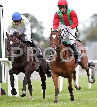 Harrington 2nd , Jockey Mr B T  O'Connnell & Striking Force 1st , Jockey K H Clarke- FT8E3768-e2