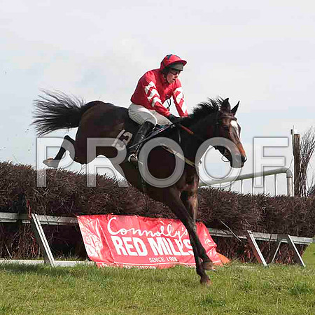 Traad Bay , 4th, Jockey - W Thompson -CU2D4574-e