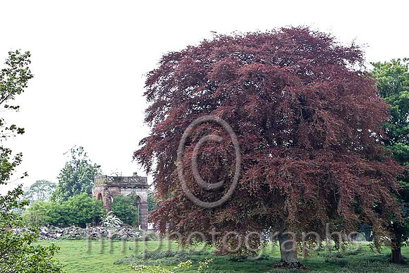 Higgins Family Estate . Moneyglass , Toomebridge - FT8E2771-e2