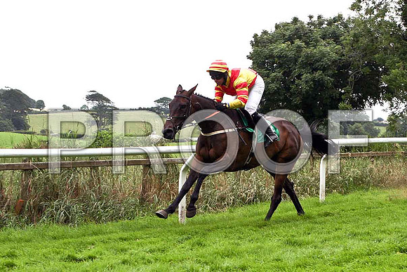 Tear Drops 4th, Jockey Mr J P McKeown - IMG_0416-e