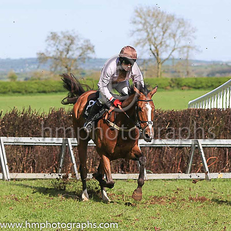 MANO CORNUTO and R P Quinlan ( 8 , PINK,brown panel; pink sleeves; brown cap ) Trainer: Graham McKeever , Owner : Graham McKeever