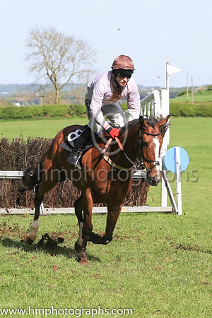 MANO CORNUTO and R P Quinlan ( 8 , PINK,brown panel; pink sleeves; brown cap ) Trainer: Graham McKeever , Owner : Graham McKeever
