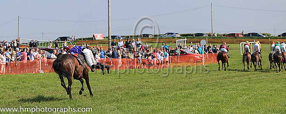 TULLYORIOR and R A Devine ( 10 , PURPLE; white sleeves; red cap,white star ) Trainer: Catherine Barry , Owner : Catherine Barry