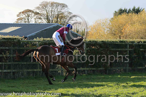 01st Valseur Lido and R Walsh ( 7 , maroon, white star, blue cap ) Trainer - H de Bromhead , Owner - Gigginstown House Stud