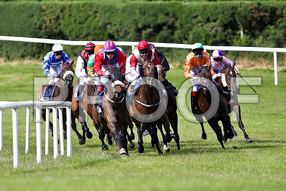 Sally Bawn , Academic Accolade , Winner, Gonta Dowdies , Simon Bolivar , Jeangorges 2nd, , Breezed Well , Pax a Punch - FT8E1581-e