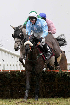 Garryowen Star (Light blue with white stars) Winner, Jockey D J Casey - CU2D3214-e2