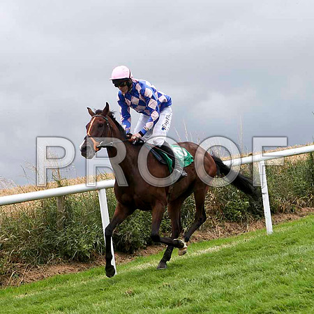 Sun Fisher - 3rd, Jockey Andrew J McNamara   - IMG_9399-e