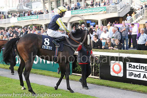 17 Barkston ash and Gary Paul Halpin - - 17th (8 ,dark blue, yellow and white striped sleeves ) Trainer - E J Alston