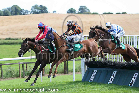 02nd Simiel and D N Russell ( 3 , royal blue, red chevrons ) Trainer - H de Bromhead , Owner - Mainlymedics Syndicate
