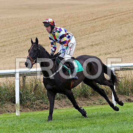 Clouded Thoughts - 2nd , Jockey R M Power - FT8E3822-e