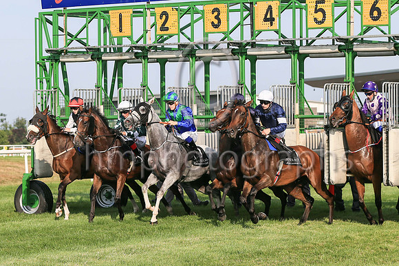 The start of Her Majesty's Plate (Listed Race) at Down ROyal on Friday 23rd July 2021