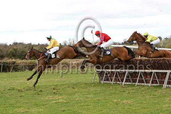 King Helissio 8th, Mr Homer 9th & Noah's Boy 5th - FT8E0008-e