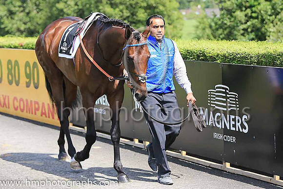 01st Change Of Velocity and K J Manning ( 1 , royal blue, dark blue seams ) Trainer - J S Bolger , Owner - Godolphin