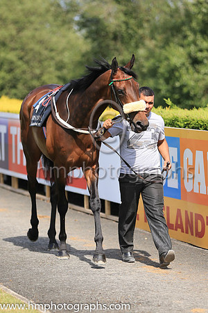 01st Kalaxana and C D Hayes ( 4 , green, red epaulettes ) Trainer - M Halford , Owner - H H Aga Khan