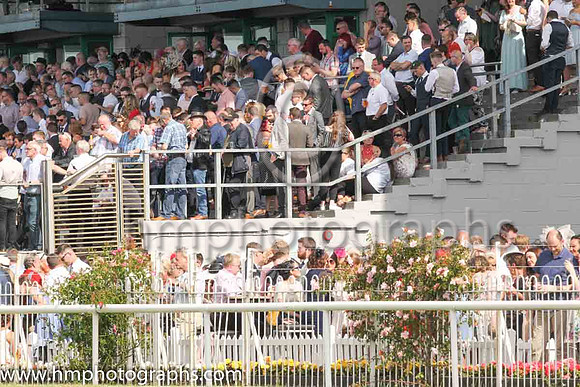 Spectators at Down Royal on Magners Ulster Derby Day
