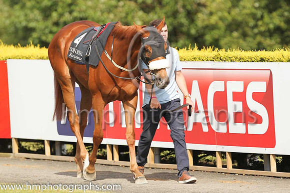 01st Manzil and D P McDonogh ( 4 , royal blue, white epaulettes ) Trainer - D K Weld , Owner - Hamdan Al Maktoum