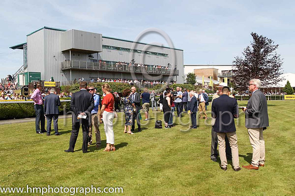 The Down Royal parade ring before the Magners Ulster Derby