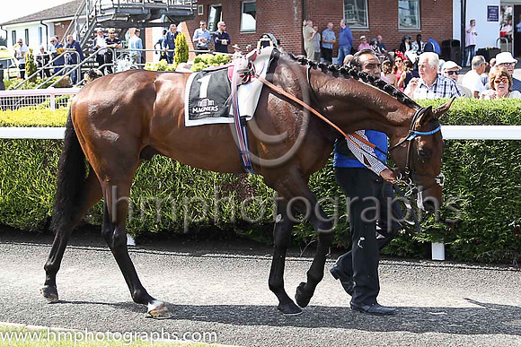 01st Change Of Velocity and K J Manning ( 1 , royal blue, dark blue seams ) Trainer - J S Bolger , Owner - Godolphin