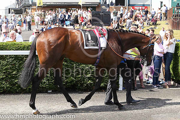 01st Change Of Velocity and K J Manning ( 1 , royal blue, dark blue seams ) Trainer - J S Bolger , Owner - Godolphin