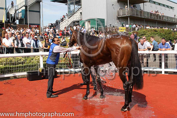 01st Change Of Velocity and K J Manning ( 1 , royal blue, dark blue seams ) Trainer - J S Bolger , Owner - Godolphin